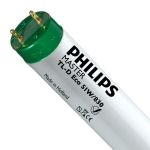Philips MASTER TL-D ECO 51W - 830 Blanc Chaud | 150cm