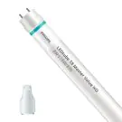 Philips Tube LED T8 MASTER Value (EM/Direct 230V) High Output 8W 1000lm - 830 Blanc Chaud | 60cm - Équivalent 18W