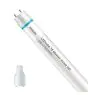 Philips Tube LED T8 MASTER Value (EM/Direct 230V) High Output 8W 1050lm - 840 Blanc Froid | 60cm - Équivalent 18W