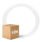 Lot 10x Ledvance Tube LED T9 Value Circulaire (EM/Direct 230V) 18.3W 2200lm - 840 Blanc Froid | Équivalent 32W