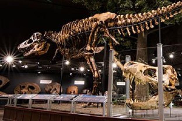 L'éclairage LED pour les musées