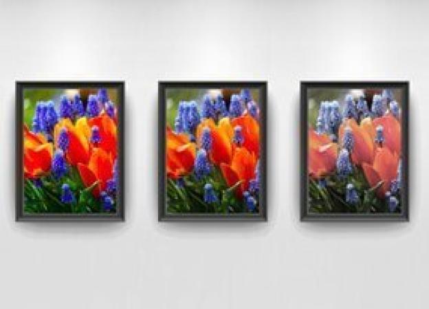 Qu'est-ce que l'indice de rendu des couleurs ?