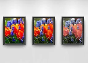 indice de rendu des couleurs