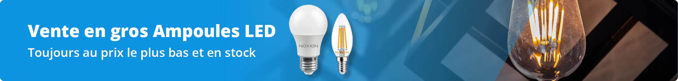 venteengros-ampouleled